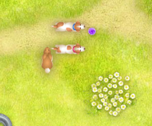 Pop Top Pups, 2 player games, Play Pop Top Pups Game at twoplayer-game.com.,Play online free game.