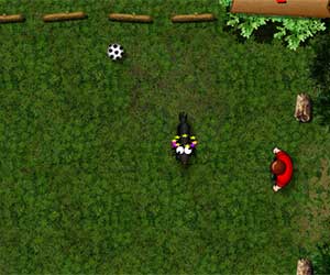 Soccer On The Nature, 2 player Soccer game, Play Soccer On The Nature Game at twoplayer-game.com.,Play online free game.